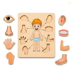 Body Part Puzzle Kids Wooden Toys for Kids 3 + Jigsaw Puzzles for Adults Baby Learning Toys Educational Toys Game for Learning Human Body Parts Anatom