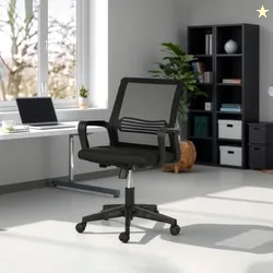 Royaloak Leon Kids Chair Nylon Mesh | Lumbar Support | Comfortable Armrest & Backrest | Seat Tilt Lock Paddle | Revolving Mechanism | Tilt Tension Kno