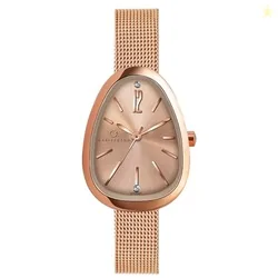 Carlington Iconic Analog Watch for Ladies | Stainless Steel Wrist Watch for Girls| Quartz Movement | Water Resistant | Casual & Formal Wear - CT 2047