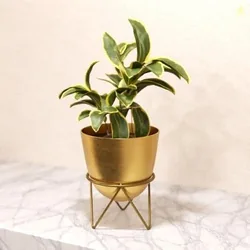 Lifelong Metal Plant Stand Indoor Planter Pot with Stand, Decorative Plant Holder for Living Room Bedroom Office, Minimalist Home Decor, Small Flower