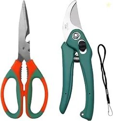 Combo - Hand Pruner Cutter (1 Pc) & Gardening Scissors (1 Pc) | Heavy Duty Garden Tool & Multipurpose Scissors for Plants, Kitchen, Crafts, Fabric, Tr