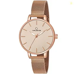 Big Dial Womens Watch with Stainless Steel Mesh Strap, Adjustable Clasp and Water Resistant Body(Silver/Rose Gold/Black Dial) | Rakhi Gift | Gift for