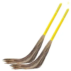 Phool Broom Long Handle, Easy Floor Cleaning 400g(Multi-use), Pack of 2