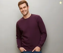Neostreak Men's Fleece Round Neck Regular Fit Sweatshirt (Neoswtsol-01-Ptpurp_Purple_M