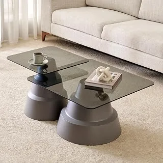 Nebulous Tempered Glass Top Set of 2 Nesting Coffee Tables | Center Table for Living Room | Grey | 1 Year Warranty