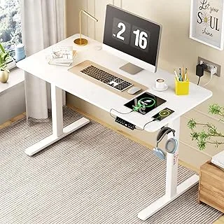 Lukzer Electric Height Adjustable Desk with USB & Type-C Port Ergonomic Work from Home Study Table Digital Display Advance Memory Preset Table (EST-00