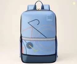 Aleo 3.0, 20L Volume 2 Compartment School Backpack with Front Organizer and Spacious Interiors for Girls and Boys - Blue