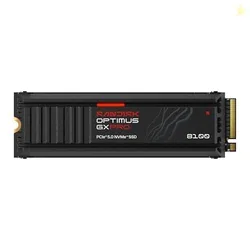 SanDisk Optimus GX PRO 8100 NVMe 1 TB Internal SSD with Heatsink, Upto 14900 MB/s R, PCIe Gen 4.0 M.2 (2280)