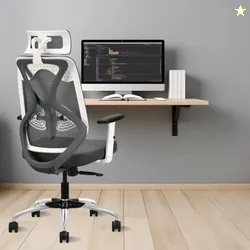 IAFA FURNITURE Ergolux High Back Ergonomic Office & Study Chair | 3 Year Warranty | Adjustable Height, Tilt Lock, 2D Headrest, Adjustable Arms & Lumb